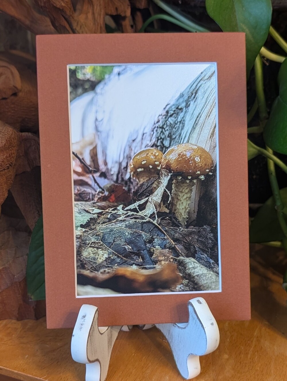 Original Mushroom Photography 5x7 Rust Brown Matted Print